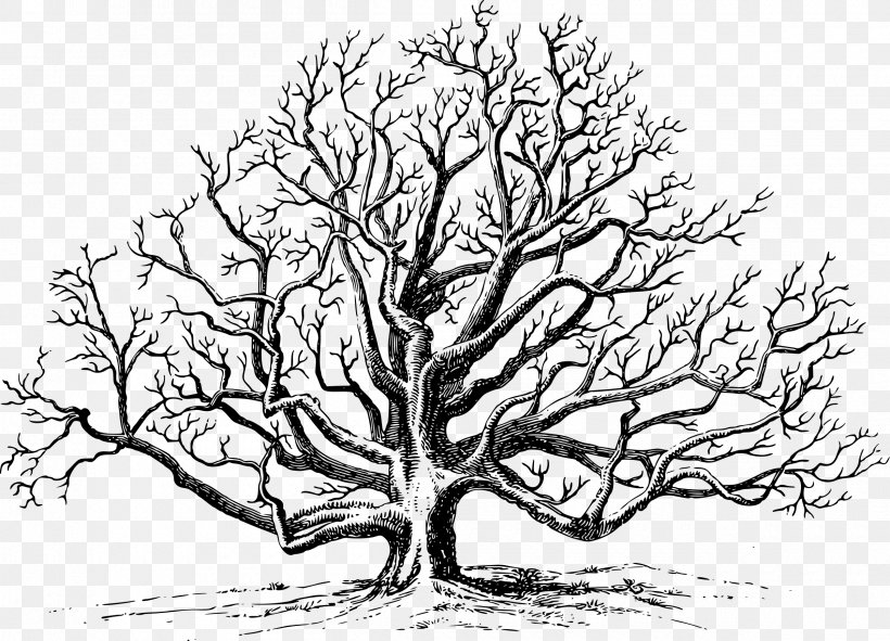 Eastern Black Walnut Tree Pruning Clip Art, PNG, 2400x1731px, Eastern Black Walnut, Arborist, Art, Artwork, Black And White Download Free