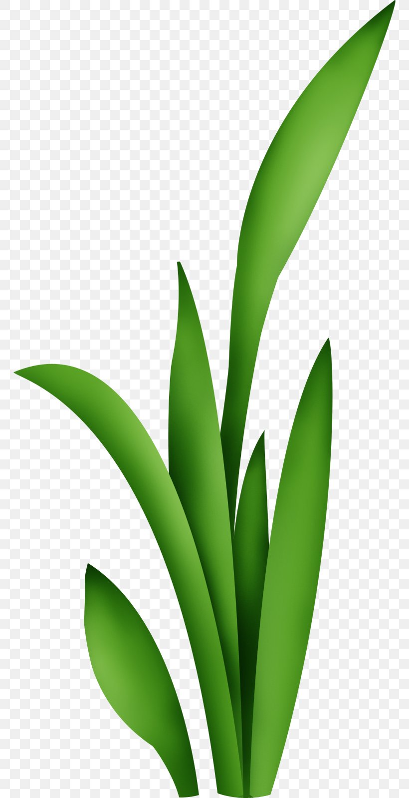 Green, PNG, 766x1598px, Cartoon, Chemical Element, Flora, Flower, Food Safety Download Free