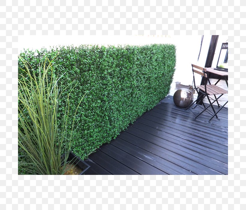 Hedge Garden Shrub Tree Lawn, PNG, 700x700px, Hedge, Balcony, Evergreen, Furniture, Garden Download Free