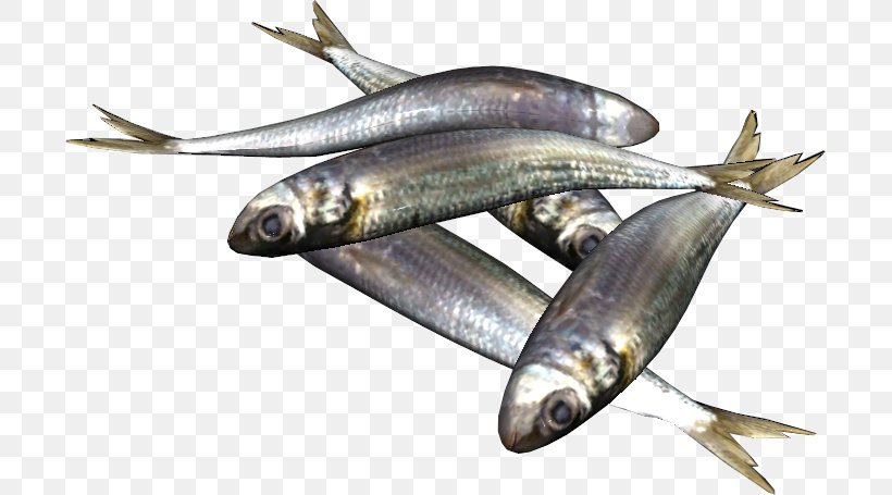Sardine Fish Products European Pilchard Food Barbecue, PNG, 699x455px, Sardine, Anchovy, Animal Source Foods, Barbecue, Capelin Download Free