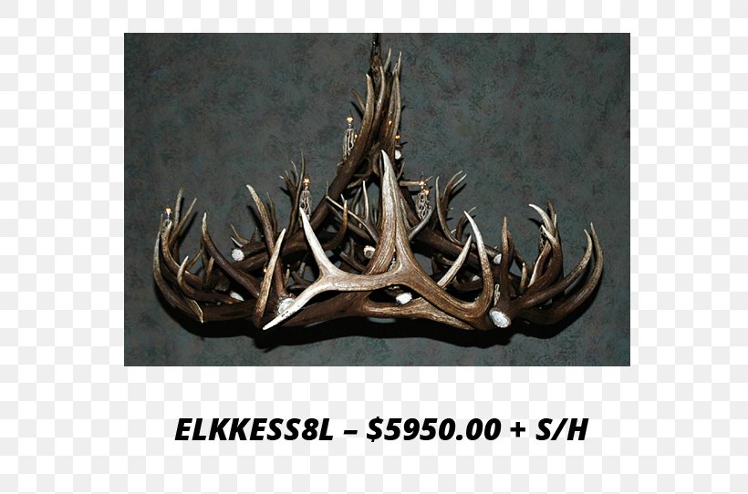 Antler Elk Deer Horn Chandelier, PNG, 736x542px, Antler, Antlers By Cody, Chandelier, Color, Deer Download Free