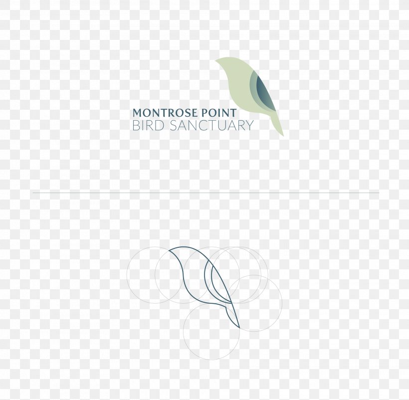 Logo Feather Green Font, PNG, 1920x1879px, Logo, Brand, Feather, Green, Wing Download Free