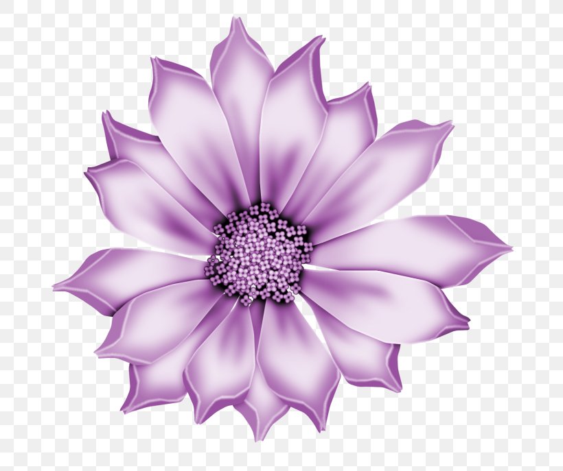 Lavender, PNG, 700x687px, Petal, African Daisy, Flower, Lavender, Lilac Download Free