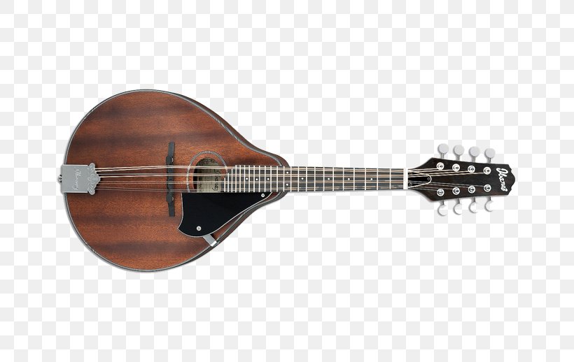 Tiple Mandolin Acoustic Guitar Ukulele Bass Guitar, PNG, 666x518px, Watercolor, Cartoon, Flower, Frame, Heart Download Free