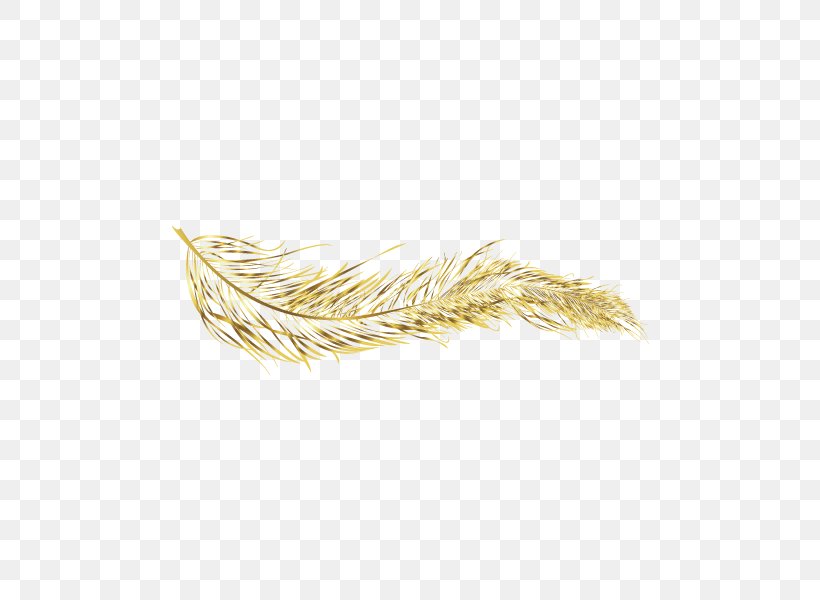 Feather Gold, PNG, 600x600px, Feather, Data Compression, Gold, Lossless Compression, Yellow Download Free