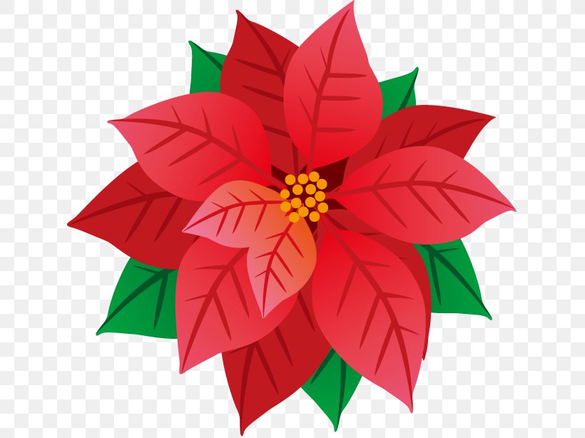 Illustration Image Poster Poinsettia, PNG, 631x614px, Poster, Christmas Day, Dahlia, Flora, Flower Download Free