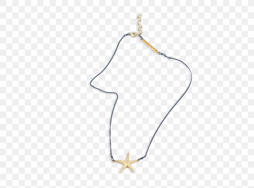 Necklace Charms & Pendants Body Jewellery, PNG, 1093x808px, Necklace, Body Jewellery, Body Jewelry, Charms Pendants, Fashion Accessory Download Free