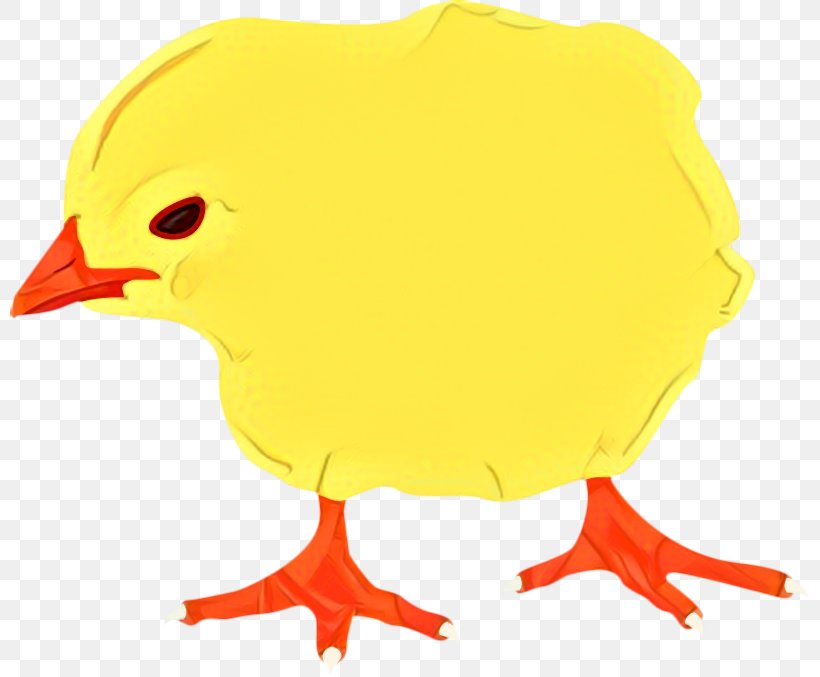 Swans Goose Duck Water Bird, PNG, 799x677px, Swans, Beak, Bird, Chicken, Duck Download Free