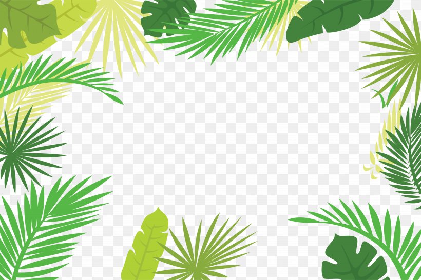 Arecaceae Text Branch Leaf Illustration, PNG, 5000x3334px, Arecaceae, Arecales, Branch, Flora, Grass Download Free