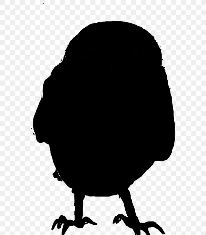 Beak Silhouette Clip Art Landfowl, PNG, 841x958px, Beak, Bird, Head, Landfowl, Silhouette Download Free