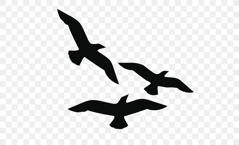 Bird Clip Art Gulls Silhouette Image, PNG, 750x500px, Bird, Beak, Black And White, Drawing, Flight Download Free