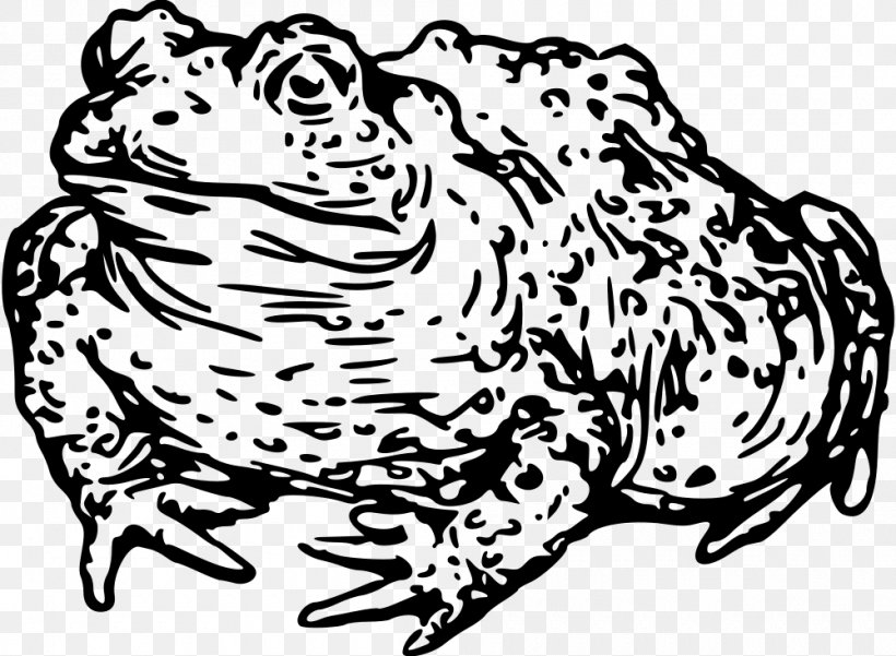 Cat Toad Frog Tiger Clip Art, PNG, 1000x734px, Watercolor, Cartoon, Flower, Frame, Heart Download Free