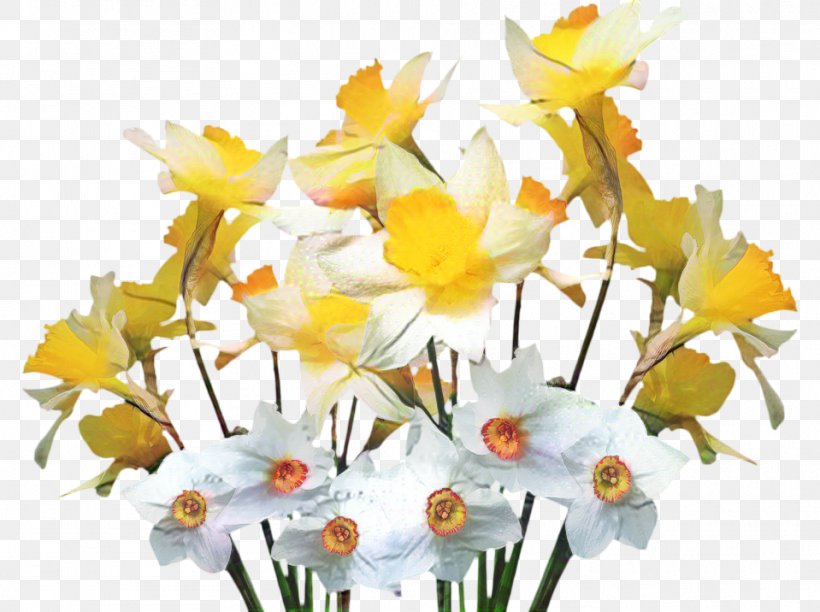 Clip Art Garden Wild Daffodil Image, PNG, 959x716px, Garden, Amaryllis Family, Bouquet, Cut Flowers, Daffodil Download Free