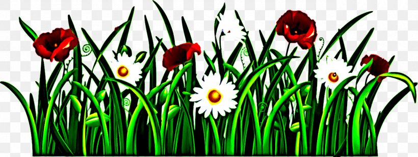 Flower Green Plant Grass Flowering Plant, PNG, 1280x481px, Flower, Flowering Plant, Grass, Grass Family, Green Download Free
