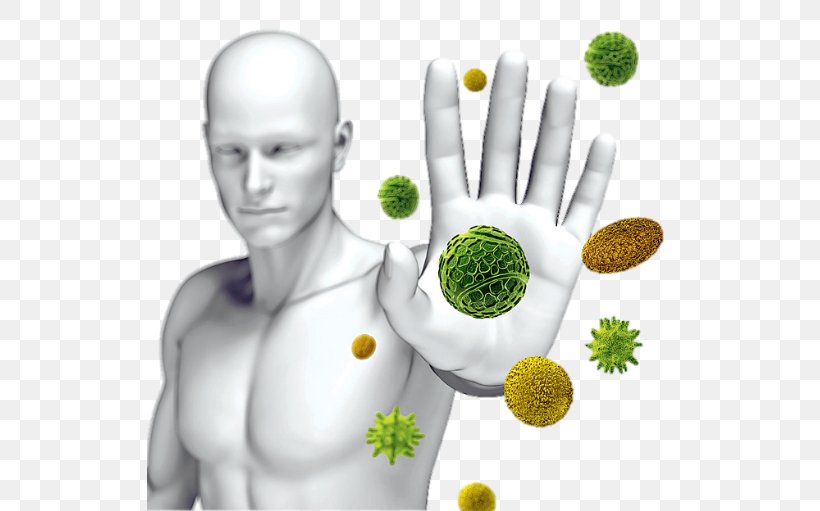 How To Boost Your Immune System Immunity Health Disease, PNG, 525x511px, How To Boost Your Immune System, Antibody, Betaglucan, Cell, Cortisol Download Free