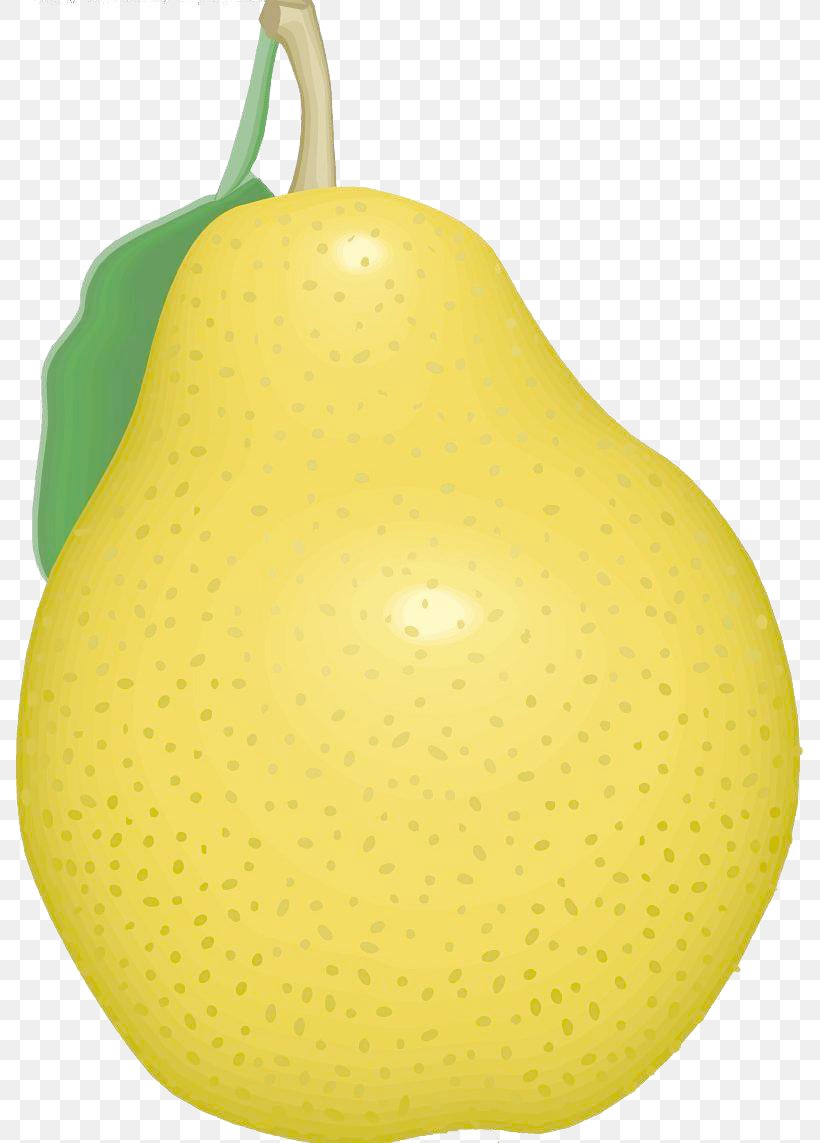 Sydney Pyrus Nivalis Yellow, PNG, 787x1143px, Sydney, Color, Designer, Food, Fruit Download Free