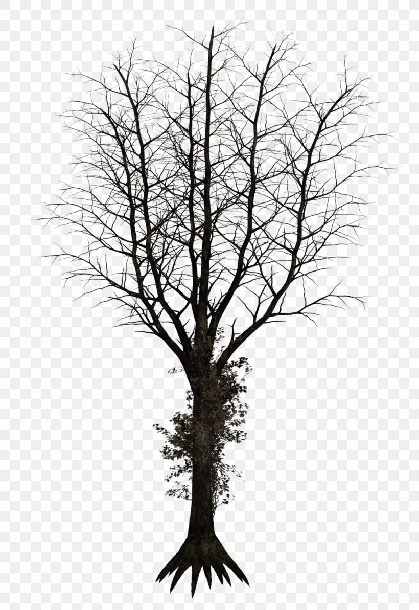 Tree, PNG, 1024x1490px, Tree, Black And White, Branch, Deviantart, Drawing Download Free
