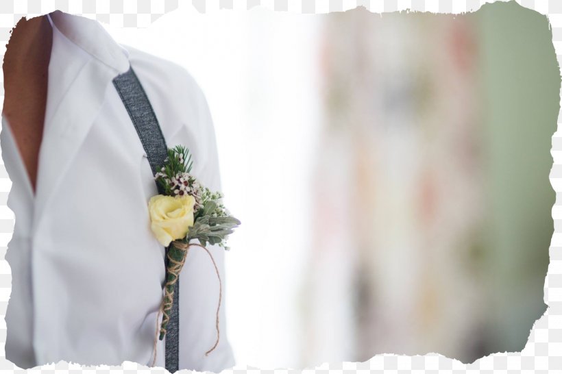 Wedding Dress Flower Cornwall Clothes Hanger, PNG, 1536x1024px, Wedding Dress, Bridal Clothing, Bride, Clothes Hanger, Clothing Download Free