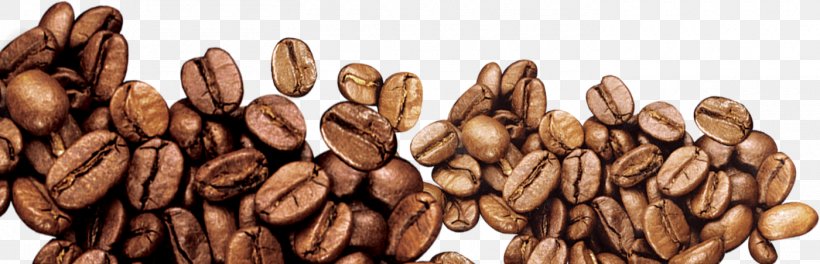 Coffee Bean Iced Coffee, PNG, 1400x452px, Coffee, Bean, Cafe, Coffea, Coffee Bean Download Free