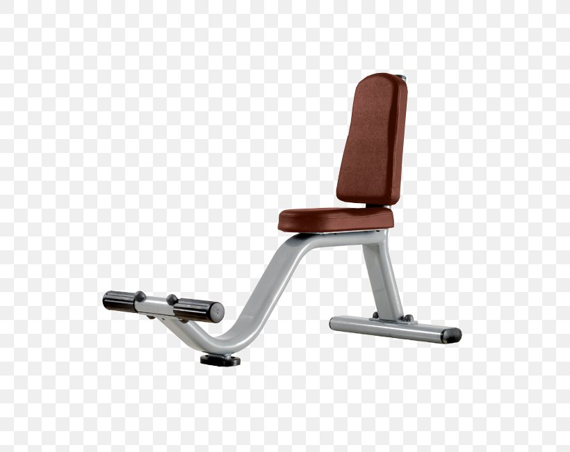 Exercise Equipment Bench Fitness Centre Exercise Machine, PNG, 555x650px, Exercise Equipment, Aerobics, Armrest, Bench, Bench Press Download Free