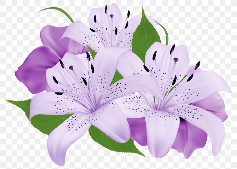 Flower Purple Clip Art, PNG, 6278x4485px, Flower, Color, Cut Flowers, Floral Design, Floristry Download Free