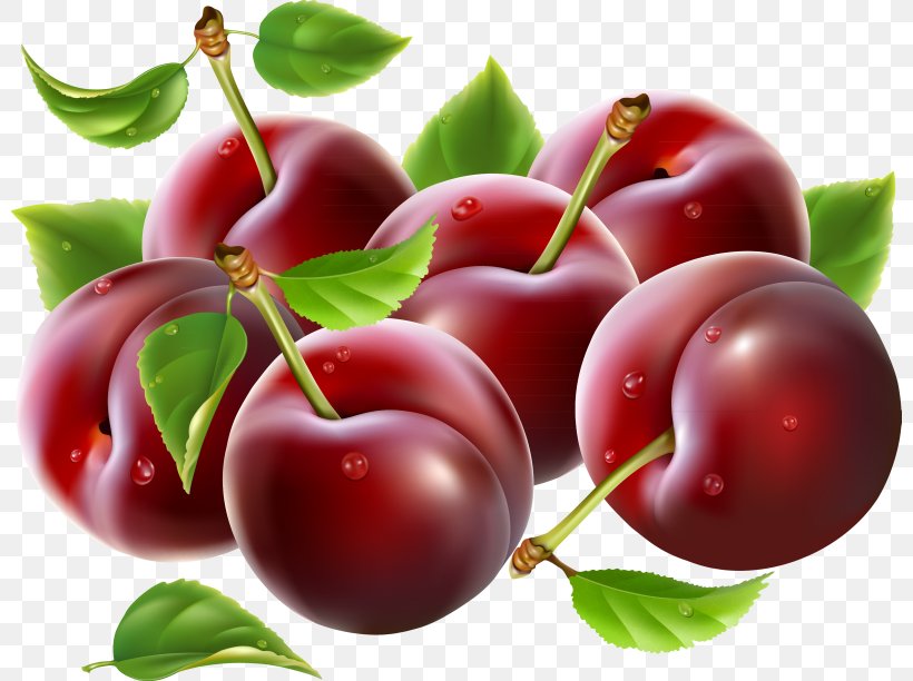 Prune Clip Art, PNG, 800x612px, Prune, Acerola, Acerola Family, Apple, Berry Download Free
