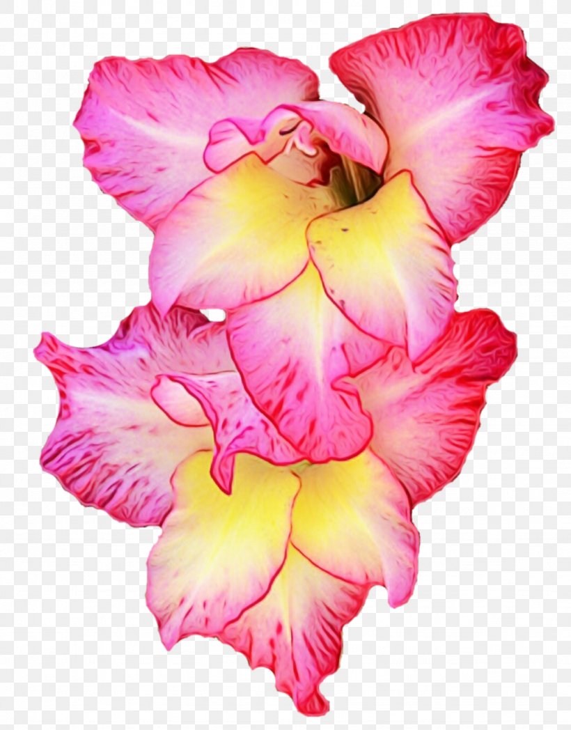 Flower Flowering Plant Petal Pink Plant, PNG, 1024x1309px, Watercolor, Cut Flowers, Flower, Flowering Plant, Gladiolus Download Free