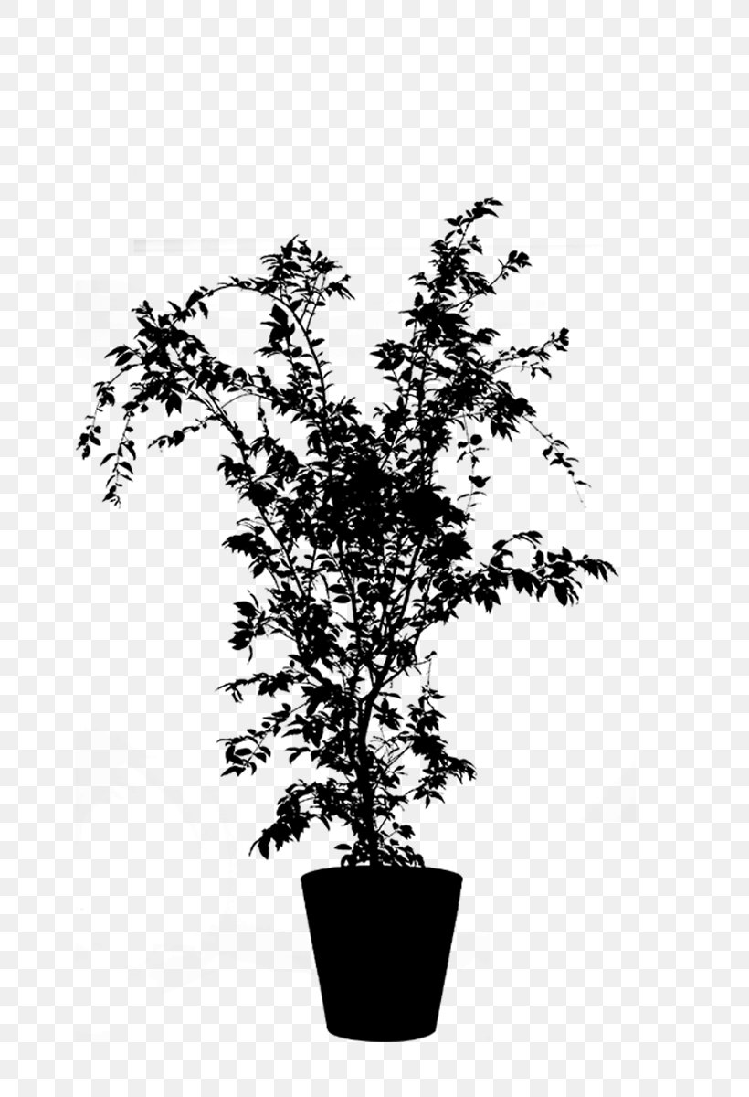 Flowerpot Houseplant Flowering Plant Plants, PNG, 800x1200px, Flowerpot, Blackandwhite, Branch, Flower, Flowering Plant Download Free