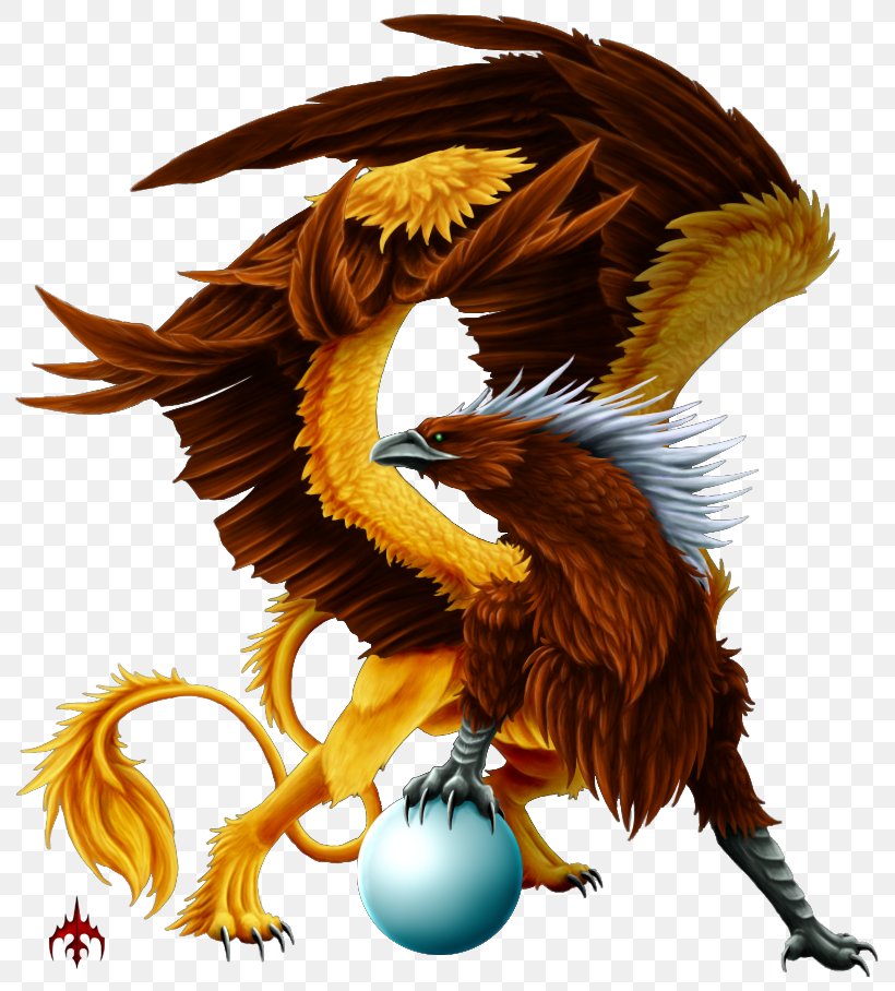 Griffin Eagle Legendary Creature Dragon Lion, PNG, 800x908px, Griffin, Animal, Bald Eagle, Basilisk, Beak Download Free