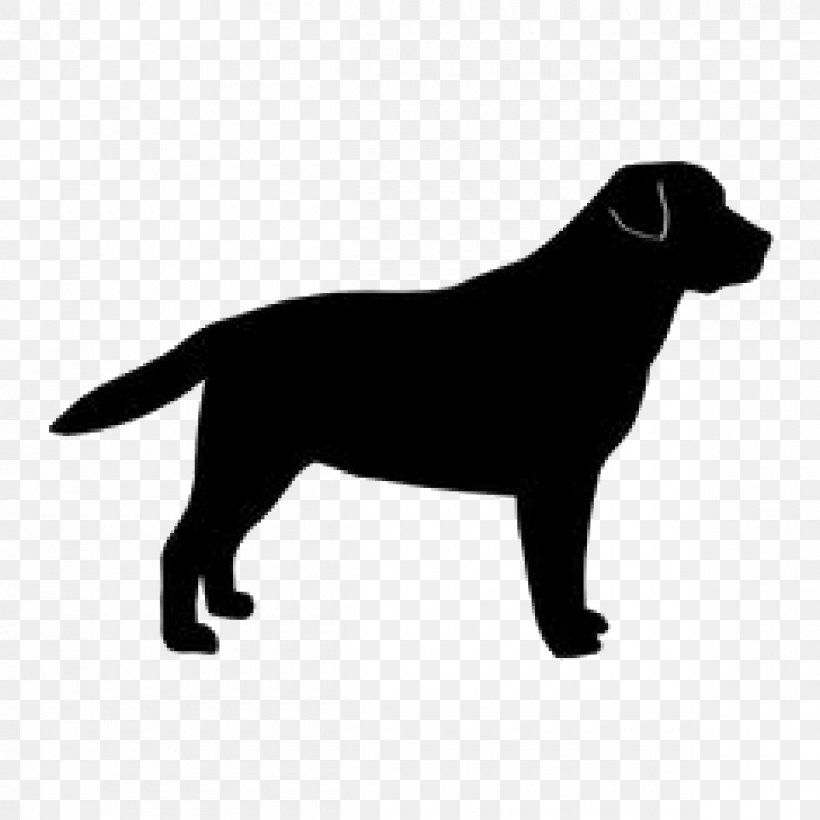 Labrador Retriever Golden Retriever Dog Breed Silhouette, PNG, 1200x1200px, Labrador Retriever, Animal, Black, Black And White, Breed Download Free