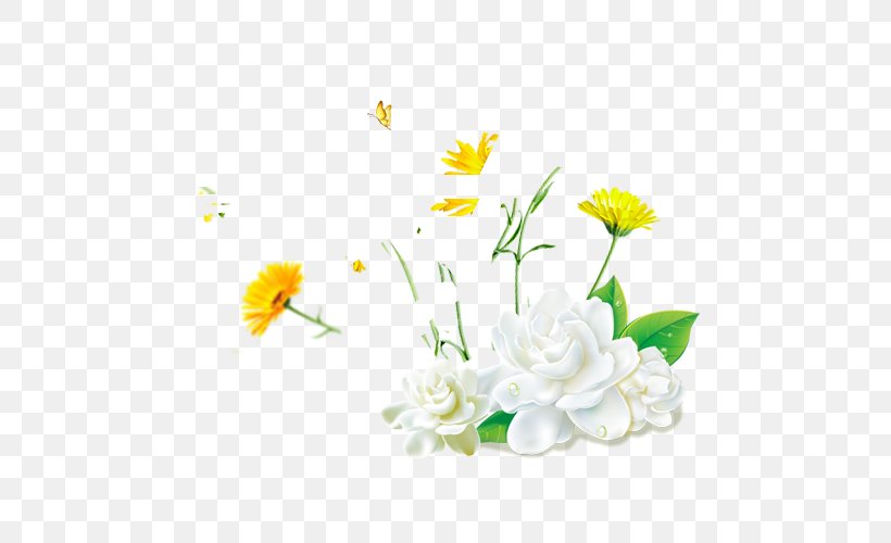 Cape Jasmine Flower, PNG, 500x500px, Cape Jasmine, Chrysanths, Cut Flowers, Dahlia, Daisy Download Free