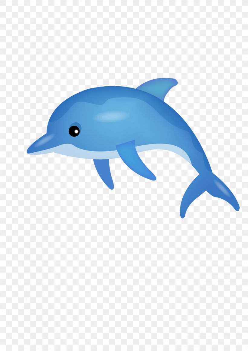 Common Bottlenose Dolphin Tucuxi Short-beaked Common Dolphin, PNG,  2480x3508px, Common Bottlenose Dolphin, Blue, Cartoon, Dolphin,