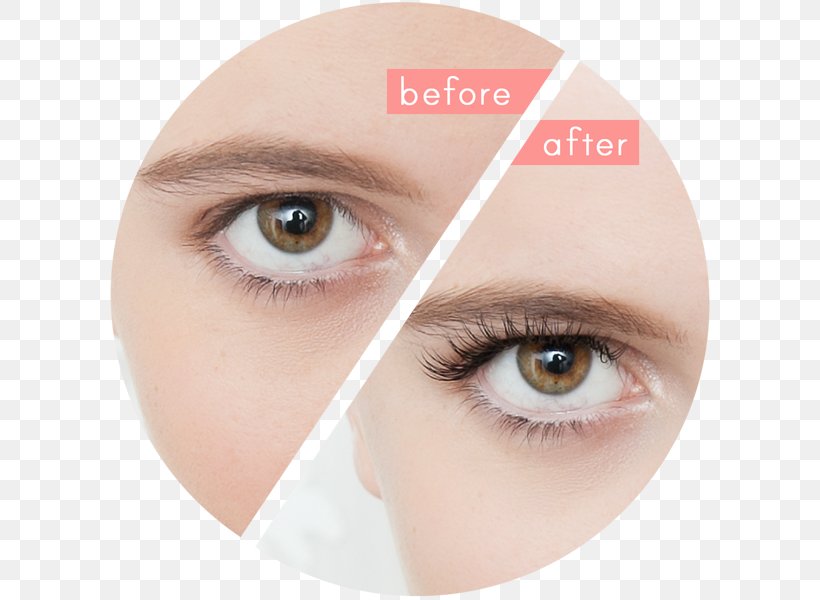 Eyelash Extensions Eye Shadow Eye Liner, PNG, 600x600px, Eyelash Extensions, Artificial Hair Integrations, Cheek, Chin, Close Up Download Free