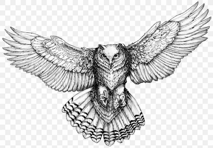 Owl Drawings For Tattoos Drawings For Tattoos Flash, PNG, 1034x720px, Owl, Art, Artwork, Barn Owl, Beak Download Free