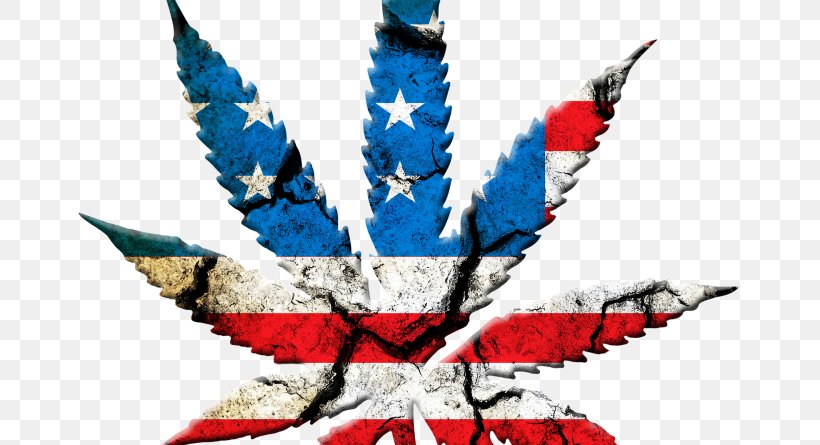 United States Of America Legality Of Cannabis Medical Cannabis Legalization, PNG, 800x445px, United States Of America, Cannabis, Cannabis Smoking, Drug, Effects Of Cannabis Download Free