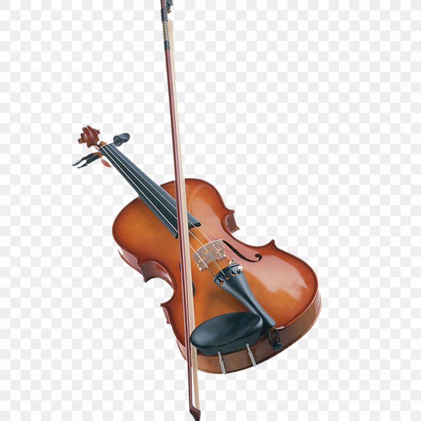 Bass Violin Viola Double Bass Violone, PNG, 1000x1000px, Watercolor, Cartoon, Flower, Frame, Heart Download Free