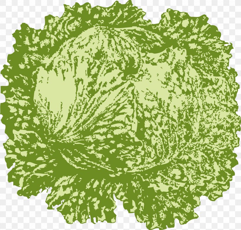 Iceberg Lettuce Salad Vegetable Cabbage, PNG, 2400x2296px, Iceberg Lettuce, Cabbage, Drawing, Flower, Food Download Free