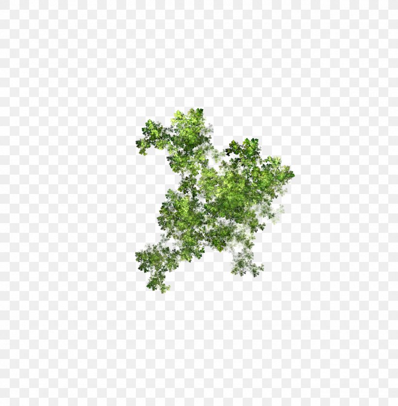 Tree Herb Plant Leaf Branching, PNG, 1280x1308px, Tree, Branch, Branching, Grass, Herb Download Free