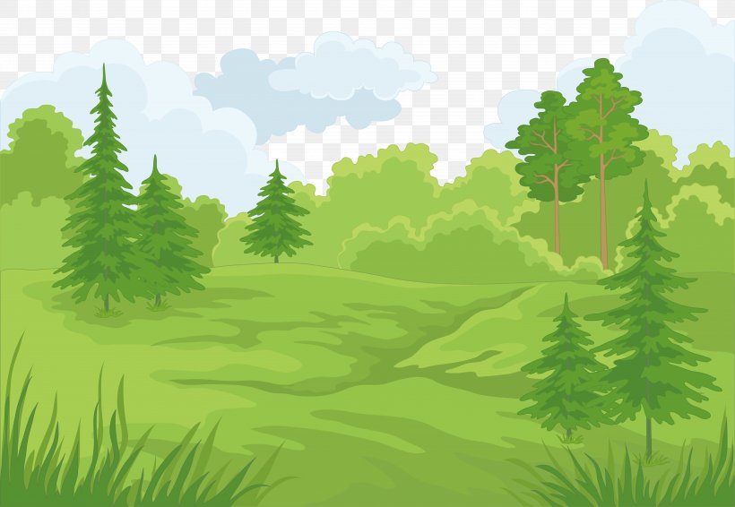 Forest Cartoon Landscape Clip Art, PNG, 5792x4002px, Forest, Biome, Branch,  Cartoon, Conifer Download Free
