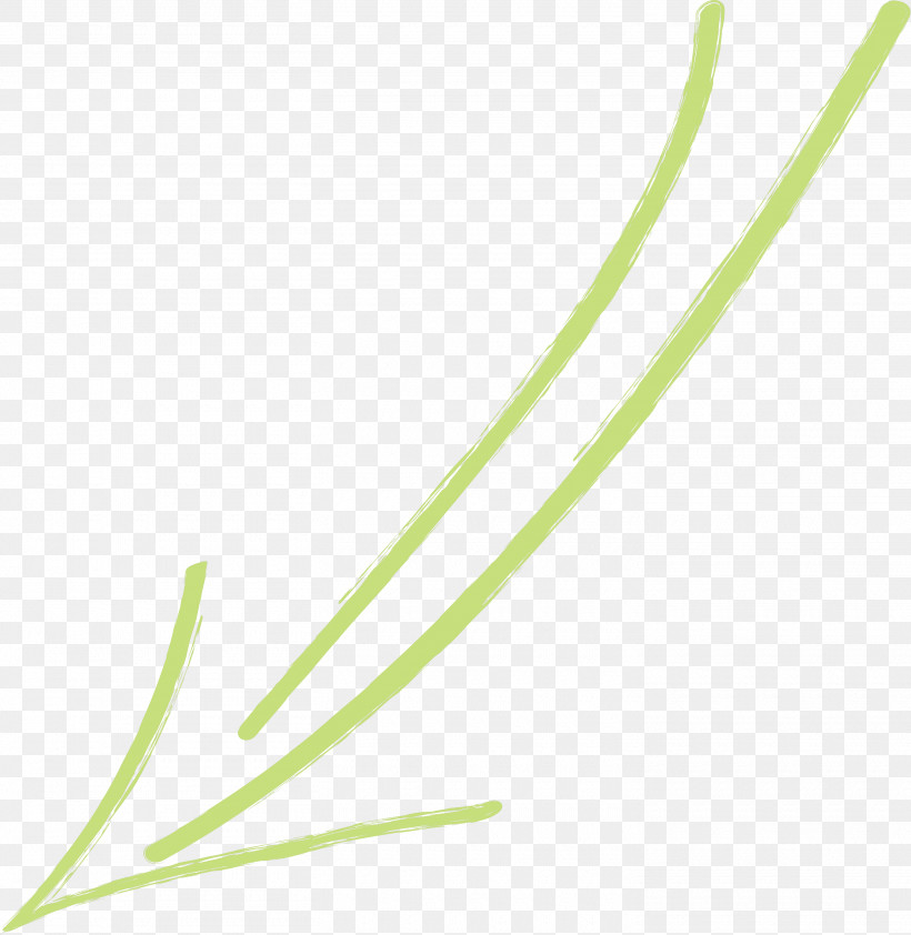 Hand Drawn Arrow, PNG, 2920x3000px, Hand Drawn Arrow, Chives, Elymus Repens, Grass, Grass Family Download Free