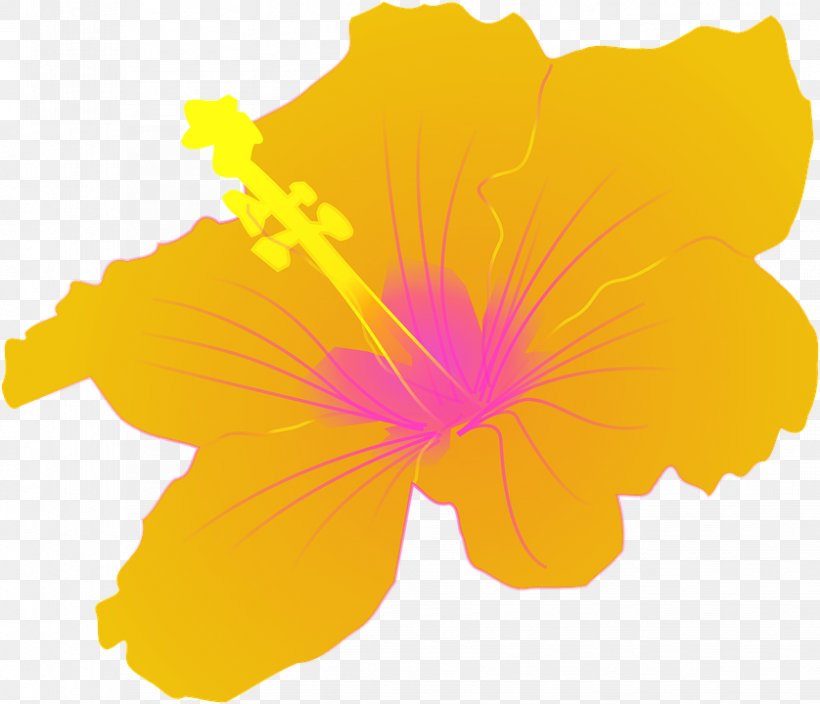 Hawaiian Hibiscus Shoeblackplant Clip Art, PNG, 838x720px, Hawaiian Hibiscus, Alyogyne Huegelii, Drawing, Flower, Flowering Plant Download Free