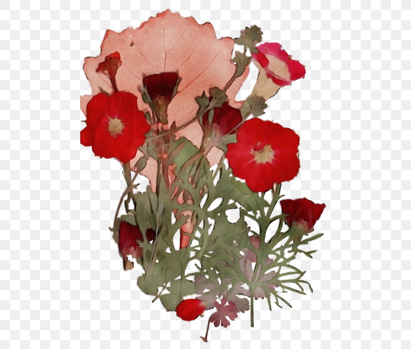 Red Watercolor Flowers, PNG, 500x698px, Watercolor, Annual Plant, Bouquet, Coquelicot, Cosmetics Download Free