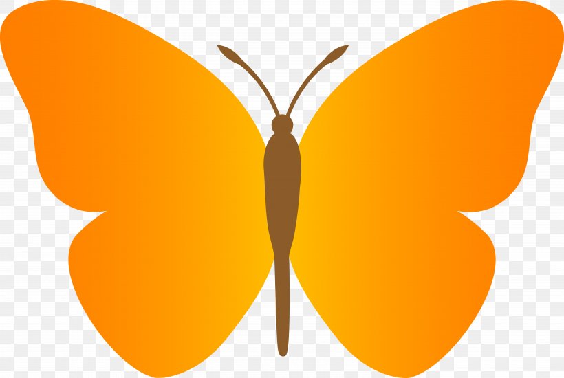 Butterfly Clip Art, PNG, 5381x3614px, Butterfly, Animation, Arthropod, Blog, Brush Footed Butterfly Download Free