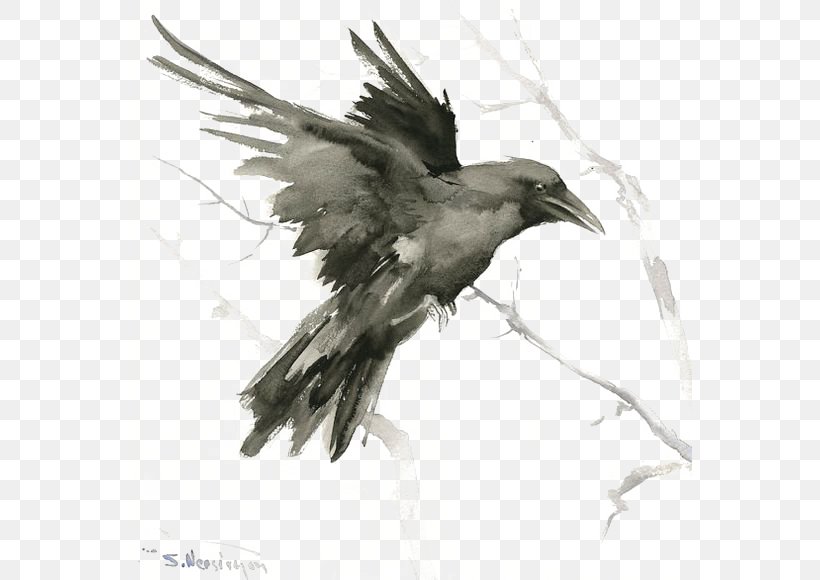 Common Raven Bird Tattoo Drawing Art, PNG, 564x580px, Common Raven, Art, Artist, Beak, Bird Download Free