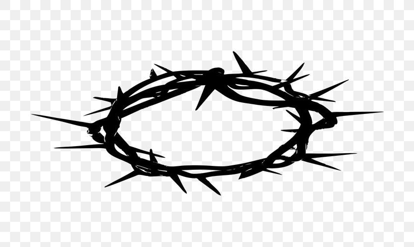 Crown Of Thorns Christianity Thorns, Spines, And Prickles Clip Art, PNG, 700x490px, Crown Of Thorns, Black And White, Branch, Christianity, Crown Download Free