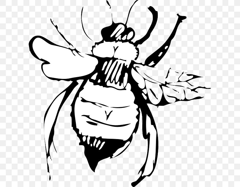 Drawing Bee Clip Art, PNG, 623x640px, Drawing, Art, Artwork, Bee, Black Download Free