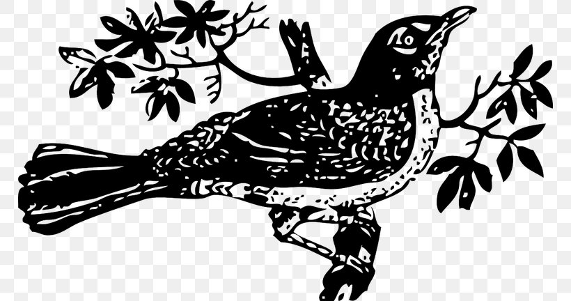 To Kill A Mockingbird Clip Art, PNG, 768x432px, To Kill A Mockingbird, Art, Beak, Bird, Bird Of Prey Download Free