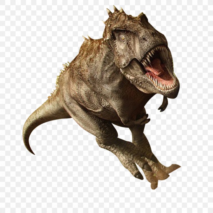 Tyrannosaurus Parasaurolophus Nanotyrannus Corythosaurus Mosasaurus, PNG, 1000x1000px, Tyrannosaurus, Ankylosaurus, Corythosaurus, Dinosaur, Fauna Download Free