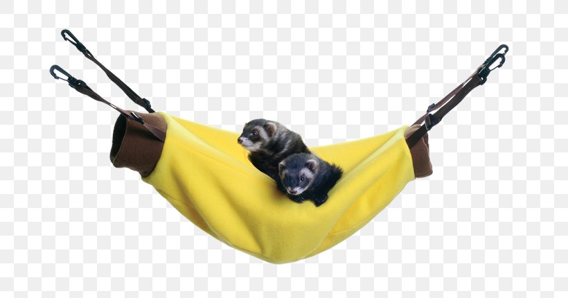 Ferret Hammock Cat Bed Marshall Farms, PNG, 800x430px, Ferret, Banana, Bed, Bedding, Blanket Download Free