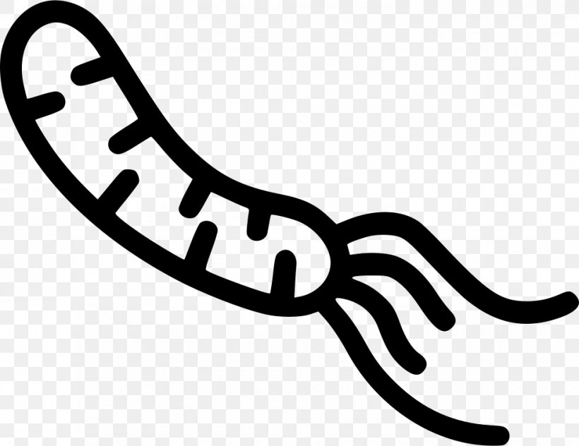 Finger Line Organism Clip Art, PNG, 980x756px, Finger, Black And White, Hand, Organism, Text Download Free